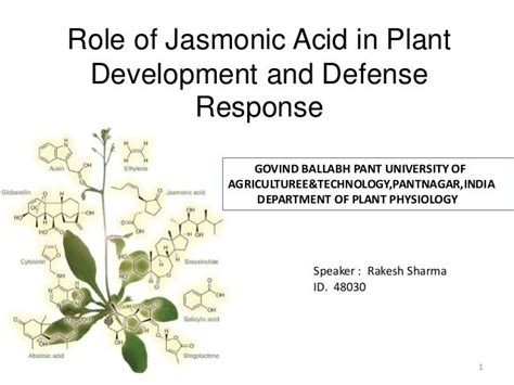  Jasmonic Acid – En Biokemisk Superkraft Till Växtens Skydd och Tillväxt!