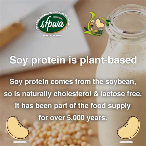  SoyProtein - Ett Hållbart och Mångsidigt Alternativ i Bioplastindustrin!